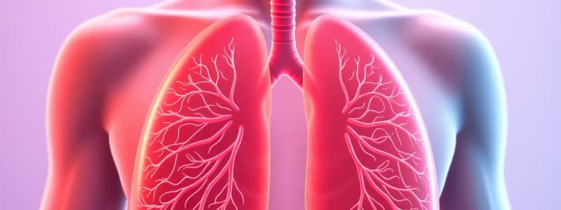 Digestive and Respiratory System Overview