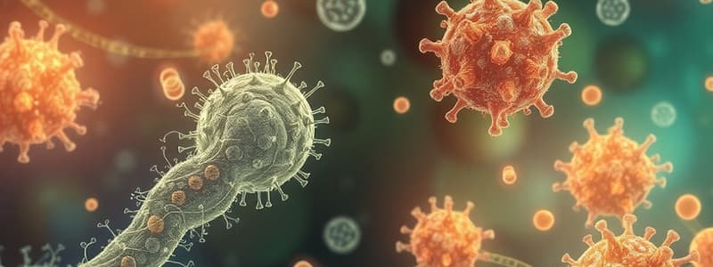 Antibiotics Production and Mechanisms