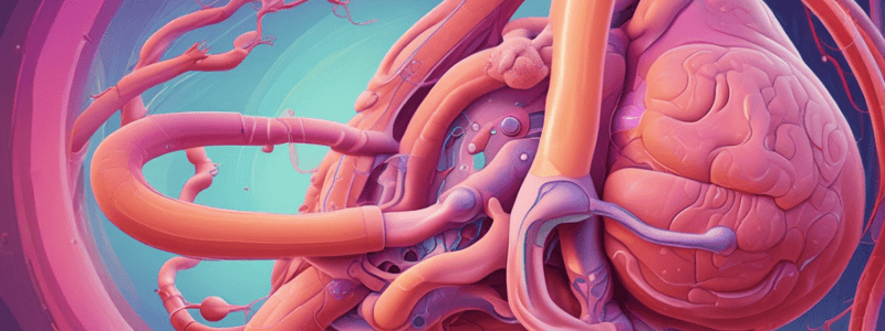 Renal Physiology Quiz: Glomerular Filtration and Tubular Reabsorption