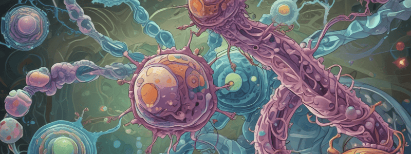 Cell Signaling and Immunology