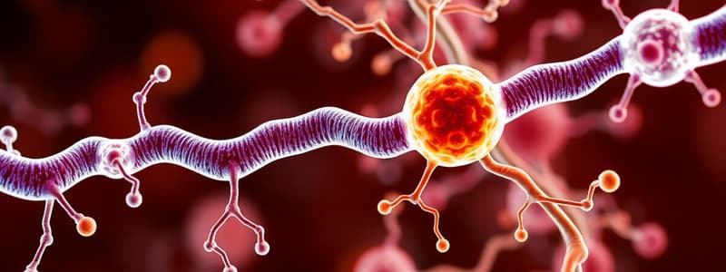 Metabolic Pathways Overview