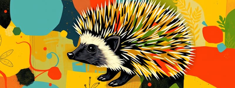 Hedgehogs Classification Quiz