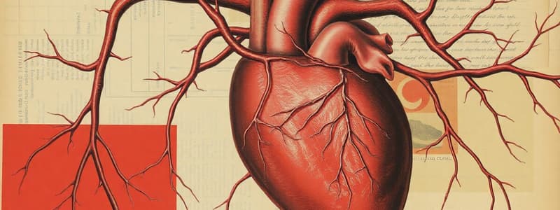 Cardiovascular System Overview