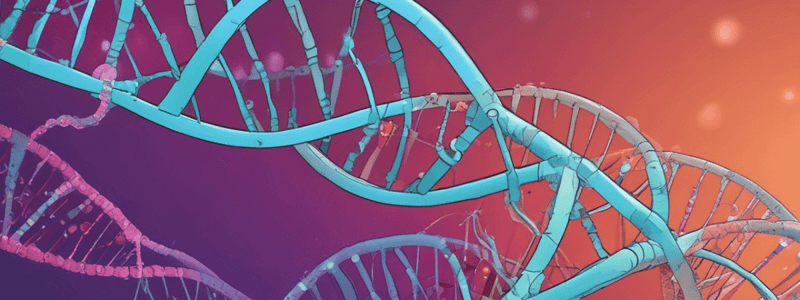 DNA Replication Mechanisms: Part 2