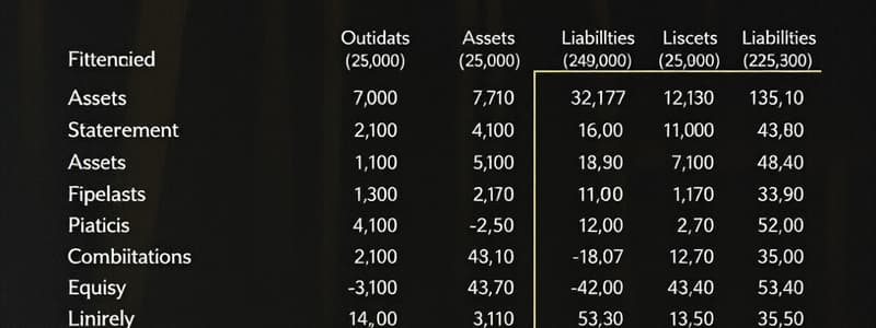 Statement of Financial Position Overview