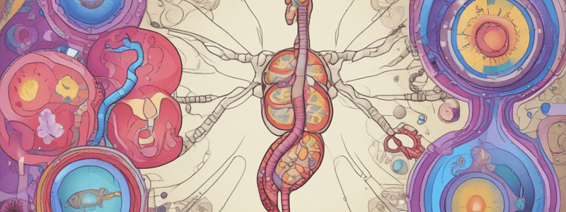 Hormonal Regulation of Metabolism (Hard)