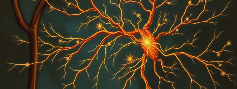 Vegetative Nervous System Quiz