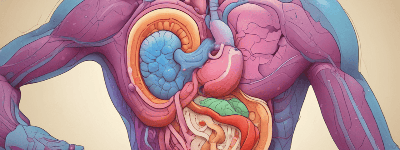 Hormones and Enzymes in Digestion