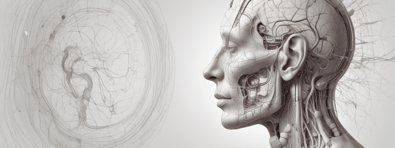 Examen Neurologique et Somatique