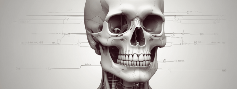 Medical Physics Chapter 3: Physics of the Skeleton