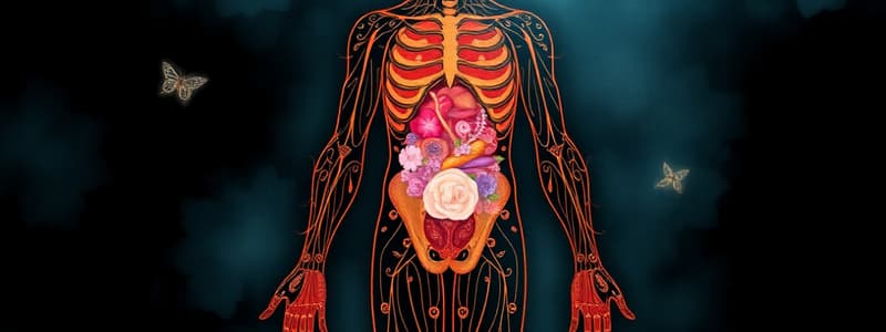 Levels and Types of Tissues in the Human Body