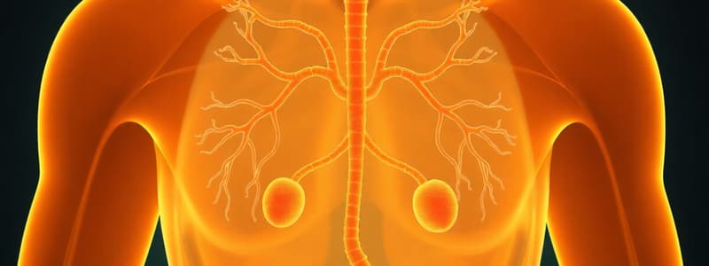 Peripheral Endocrine Glands Overview