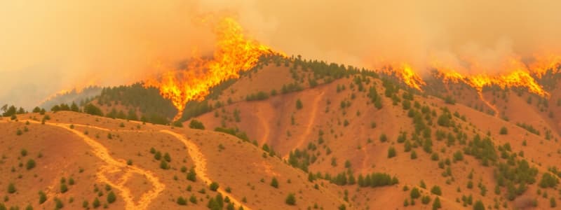 Tema 6. Factores del Comportamiento del Fuego en Bosques