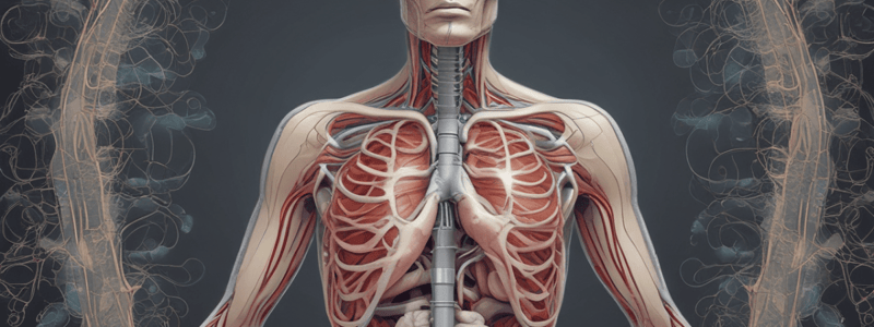 Lung and Upper Respiratory Tract Chapter 10