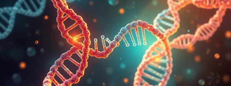 Protein Synthesis Overview