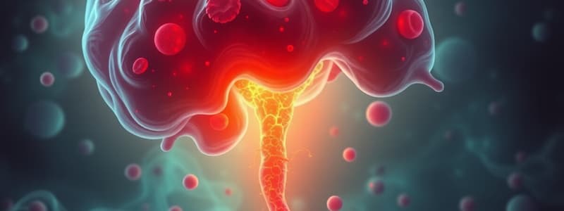 Megaloblastic Anemia Overview