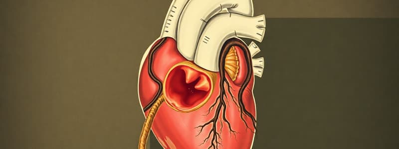 Cardiovascular and respiratory embryo