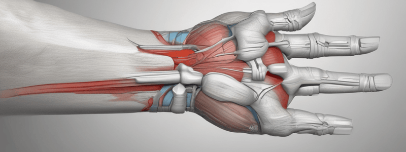 De Quervain Tendinopathy: Thumbs and Finger Tendon Lesions