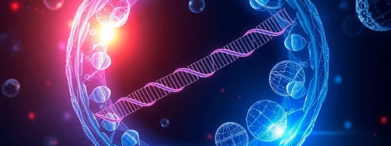 Cell Cycle: Interphase, Growth, and DNA Replication