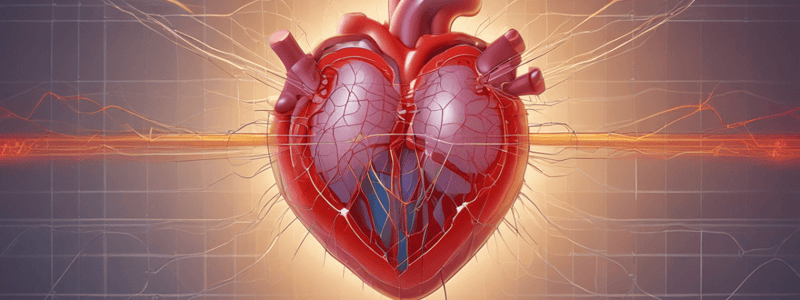 Cardiac Conduction System