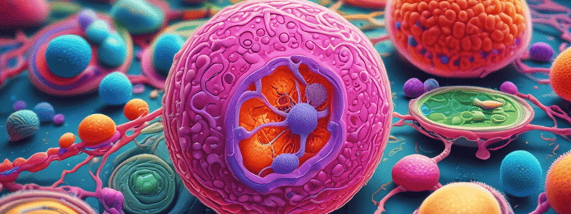 Understanding Animal Cells