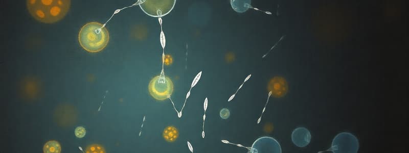 Biology: Plasma Membranes Overview