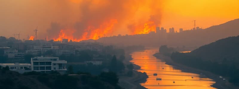 Los Angeles Wildfires of Early 2025