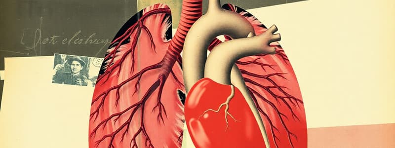 Pulmonary Circulation Quiz