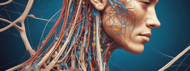 Brachial Plexus Anatomy and Erb's Palsy Quiz