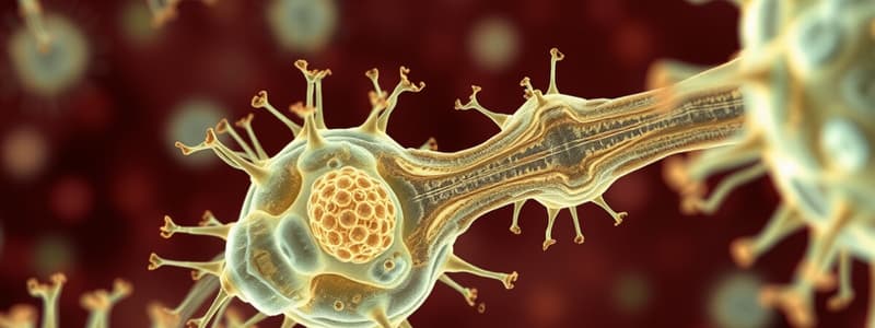 Biology Chapter 1: The Cell and Its Structure