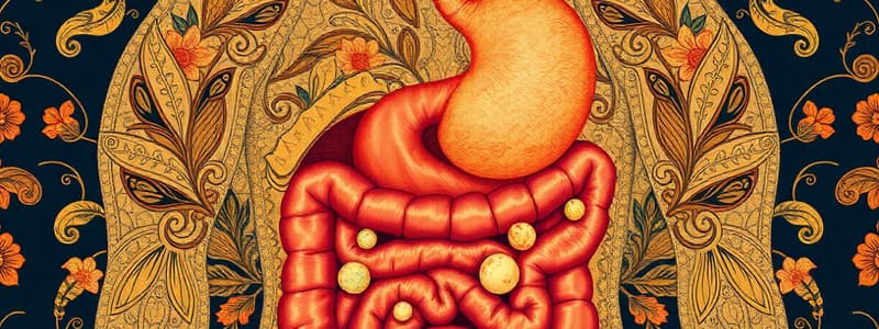 Digestive System Overview