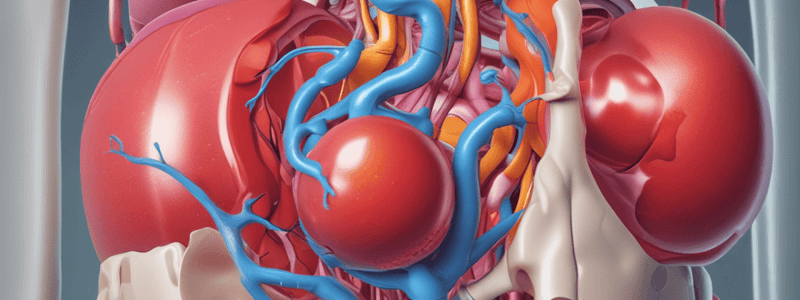 24.1 Introduction to the Urinary System