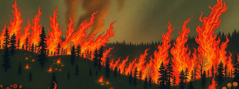 2023 Canadian Wildfires: Zombie Fires