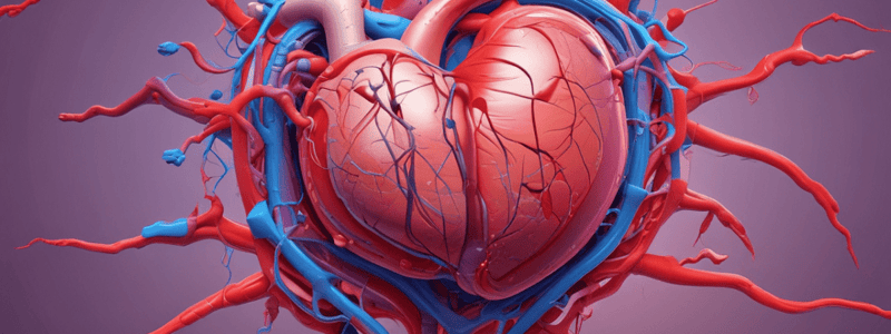 Cardiovascular Physiology Study Guide