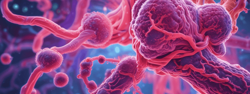 Mycobacterium Tuberculosis - TB Corral Quiz