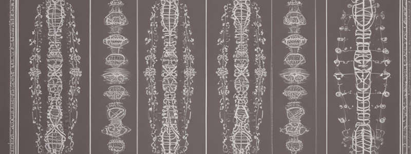 Biology: Cell Division - Karyotype