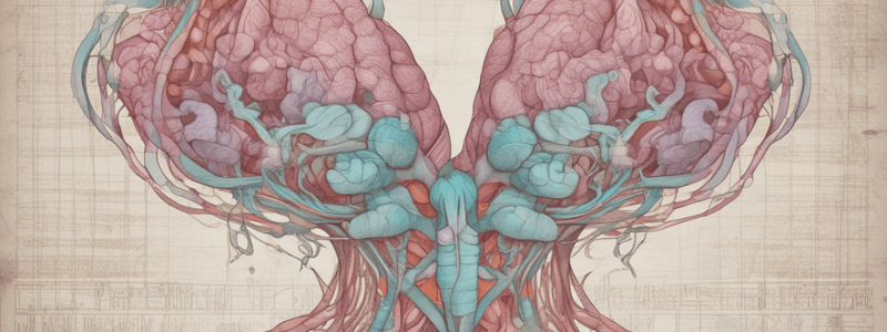 Thyroid Gland Diseases: Hypothyroidism and Hyperthyroidism