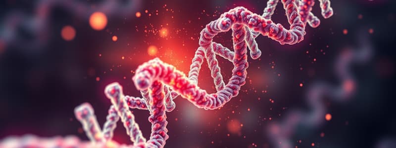 Differences between DNA and RNA