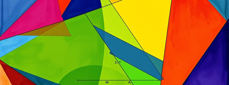 Geometry Area and Perimeter Problems