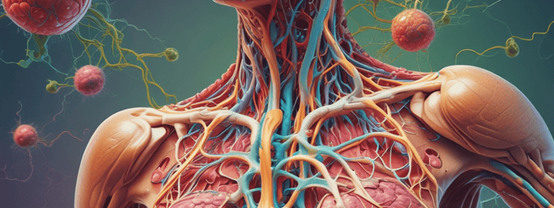 Lymphatic System and its Role in the Immune System