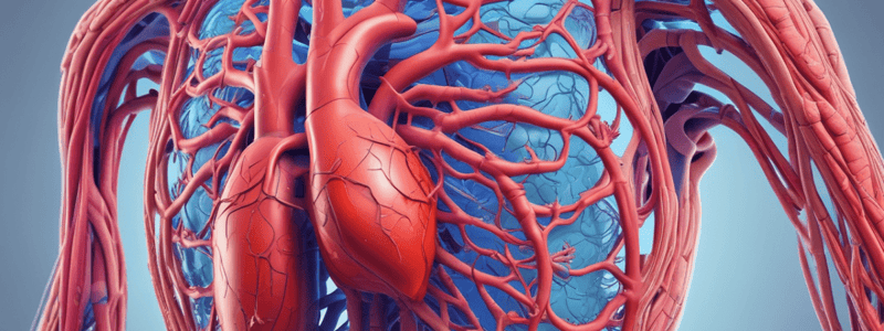 Circulatory and Respiratory Systems Interaction