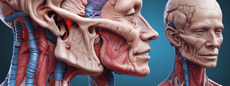 Specific Neck Pain: Anatomical pathology and Risk Factors