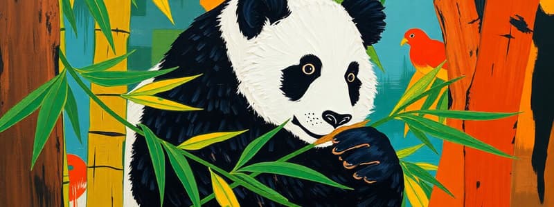 Panda Habitat and Conservation Quiz