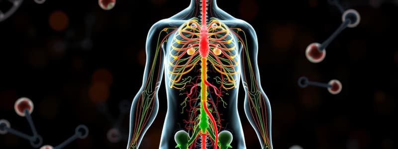 Overview of the Endocrine System