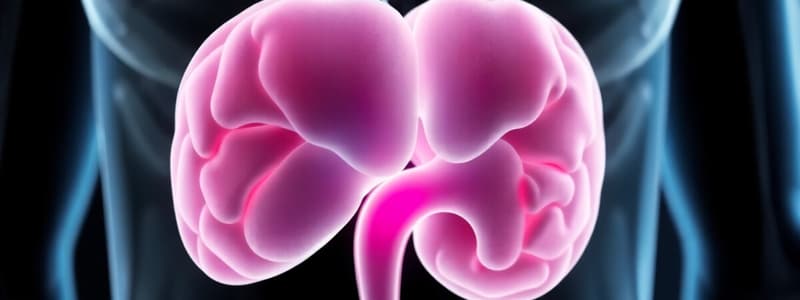 Adrenal Gland Functions and Hormones