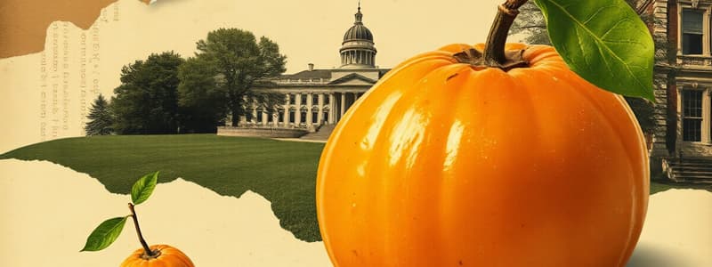 Preserved Fruit Discovery at Mount Vernon