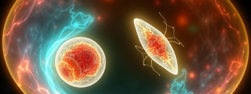 Cell Division and Meiosis Overview