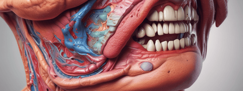 Skin & Integumentary System Hooper