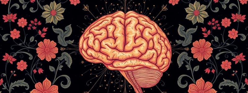 Neocortical Functions Overview