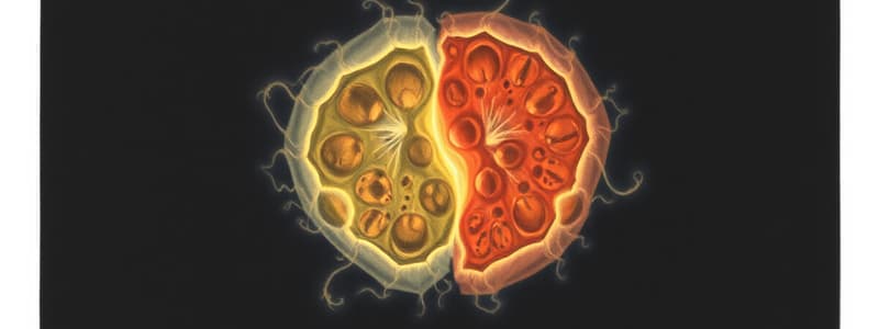 Biology Chapter 10: Cell Cycle and Division